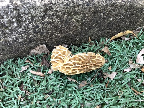 FAE10FCF-824B-424E-B628-B75FF2DA159D