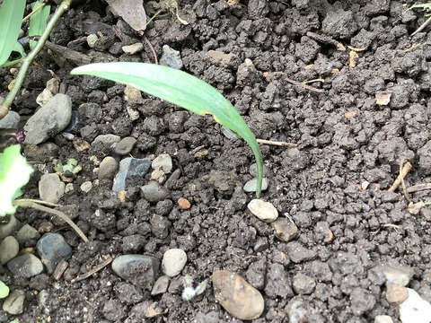 2F3EC53D-4500-46FE-A594-10B02413DCCF