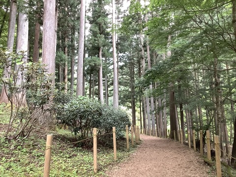 A3C81438-6F92-4118-8EB3-6F8ED876DFD8