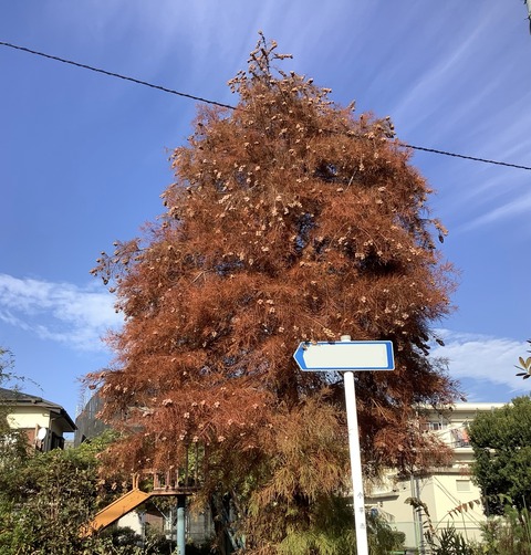 EDD8EB5C-B787-4FAC-9FAF-C86EB86BF1FD