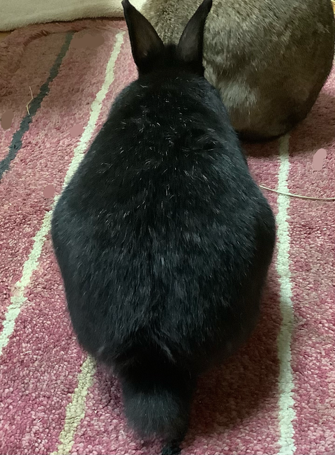 673B4802-245F-4EC0-AEBA-121925888FBB