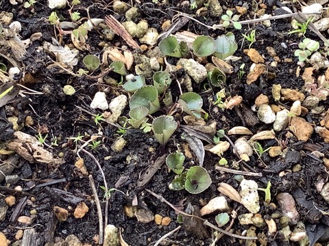 4C427BAF-2C36-4DE3-97C2-79437E3090B5