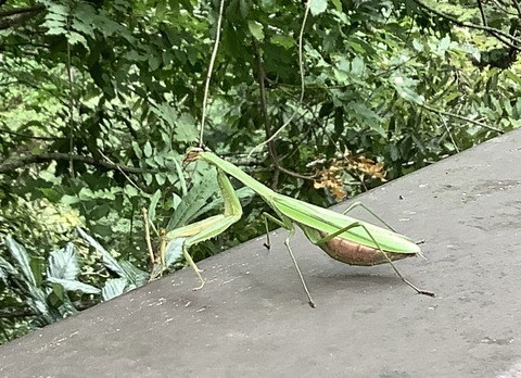 4DB8053F-30D7-4CC6-8385-34FEFC7C2534