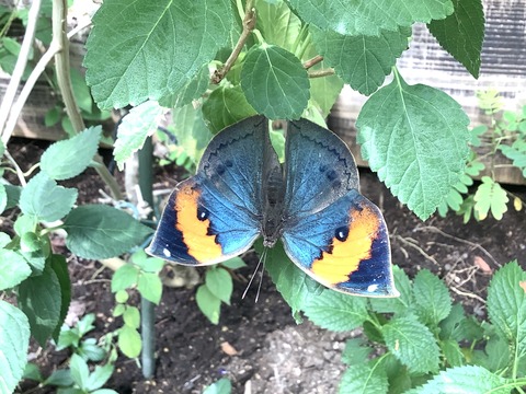 2726D172-744D-459F-9500-810242DAE566