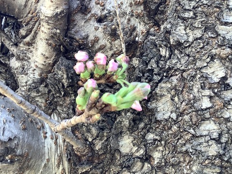 861290B7-270C-47E7-92E3-CE23A20EE397