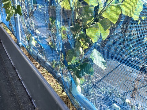 D49CBB99-1EE5-4C7F-8353-15F4BF4E511A