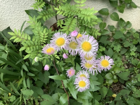 534B1CB4-9BDA-4912-9DF0-8A3469D25325