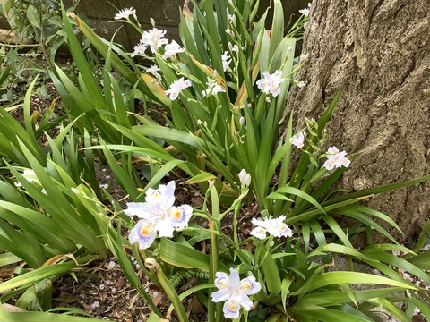 F73259D3-2253-4306-A625-4D5761F60DF4