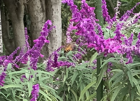 5074ACC2-A481-4558-BF19-3A9930A10D89