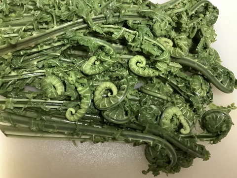 CE74F6F6-1534-4336-BDE0-22173C0D3D5E