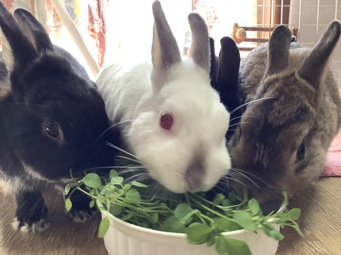 711DB05F-6F34-4E3C-B9F1-14BED855BA9A