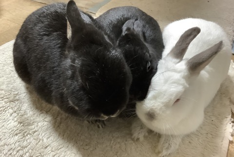 951FB096-23F5-45E2-9843-A71E1DF2CF4F