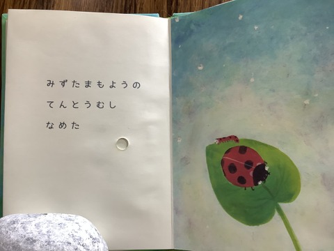 51D8D347-2A88-4037-B0EC-FE507D8B7D5F