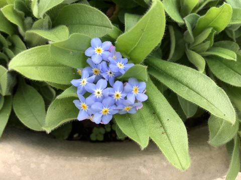 EB291B54-F807-4F30-8DA4-3D645AE44AE1