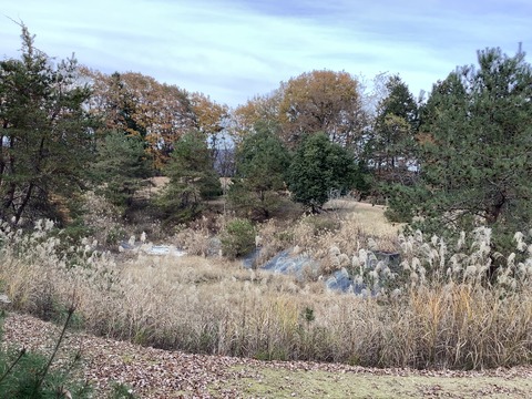 051FB0E1-269B-457E-8800-DC3DAD1256C8