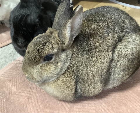 39242CBC-571B-4641-9B09-7412473FA163