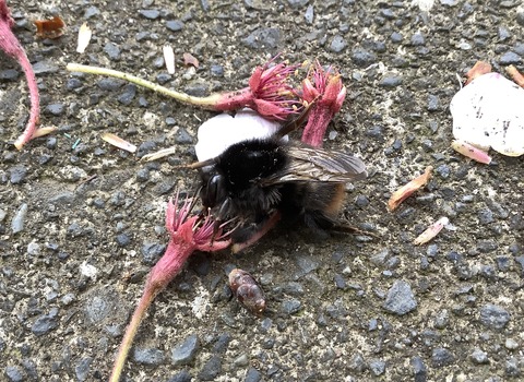 145F4C34-994F-4C80-A839-2500517CDFA7