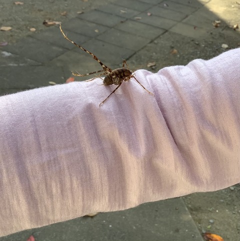 DDC7DF51-736C-4ED4-B4B9-48FAEAA3D086