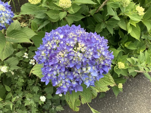 0B5F7BDB-E38A-4AE8-B1E3-FC365BE6C4D6