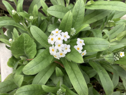 A43ED21E-0EDB-46BC-8DC6-061967ED01E0