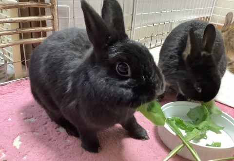 545F19F6-066E-42AF-8065-58D6BE1F5AFD