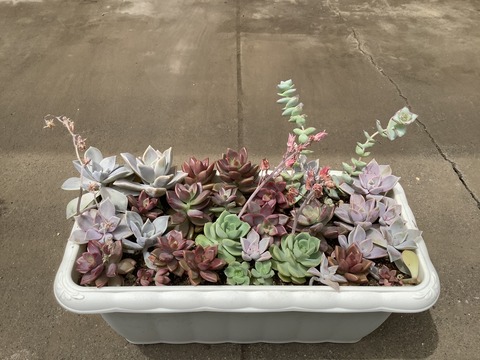 CCCCD69E-24DD-43D4-8B6E-EFF3737FFF38