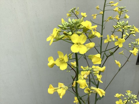 B0FFF724-CDDE-4D36-B056-FB8493F3CA9D