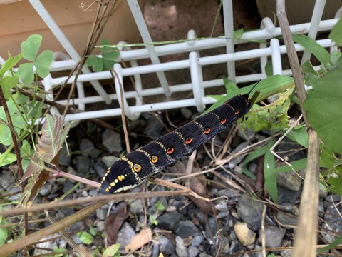 0534F9F6-DB96-4ECC-8A4D-572B798AC3D4