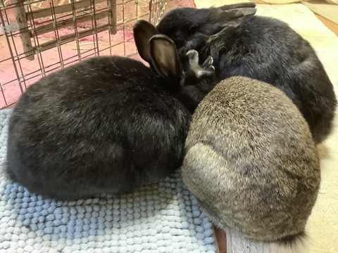 FEA60287-B49E-4DB6-B1F8-211772A29996