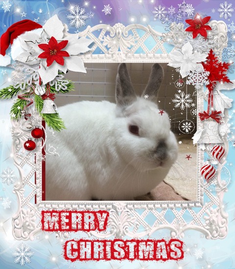 CF7EBD9B-0234-4AD3-B523-585CB027B8E9