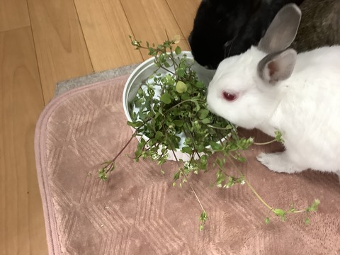 36E906AE-752F-46DD-AB81-20C2CFE5A3BB