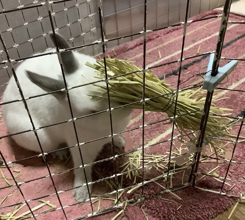 17A67BFE-8220-4CAD-937F-DE778593E74D