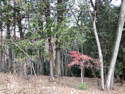 BBD0F07B-2AB2-4B57-9D68-EE6DADE5721D