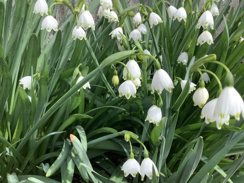 8AEA75CB-EDEE-461B-8B89-FB6B2BCF81A8