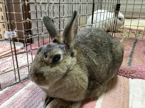 08F94431-45A4-40C0-B4A6-BC9575122FA2