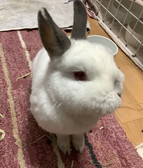 7B696A2C-B108-497C-9C98-0E0AE741173E