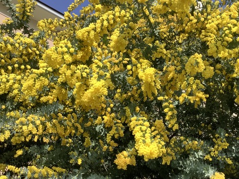 C99D208B-0B30-4225-BD34-C59EE46C9FE3