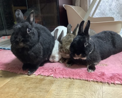 65ECD377-C593-4BB7-9D12-668072C4C73F