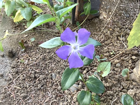 12129140-8F96-4AC4-B7D6-98528D8ACBA2