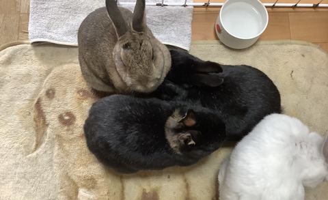 B3E6A47E-9745-4192-BA81-8CB9D49BD73D