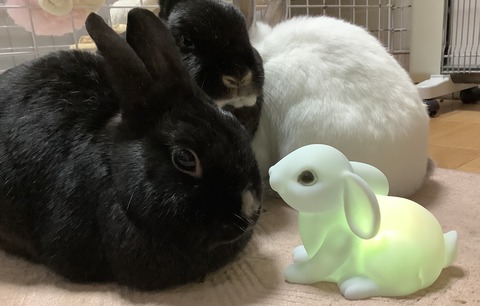 8F55F173-3A1E-4FB2-AFC7-3087462183BC