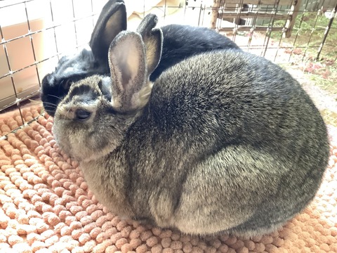 A477AA79-87ED-4833-93C5-88BFC9DFA866