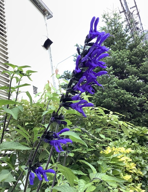 95465B9A-1568-44D1-A6A3-0E01A6E02835