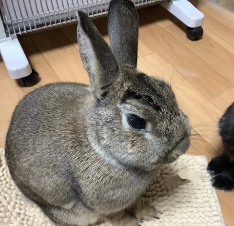 59A979EC-54B0-4E88-B15E-C30F6199A32F