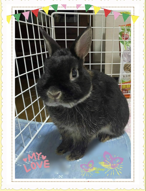 487DDA61-66BE-4B69-A37A-88B335CC60E8