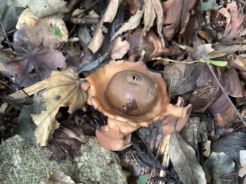 9881729B-FF06-4916-877F-CB10F88ABF4E