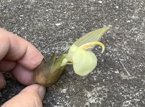 EAAA9D7F-126C-450B-B1FC-48F935156D9F