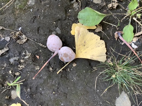 7743F69C-2AEB-447B-8381-479AC469EB9D