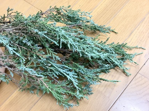 86403A5F-DA61-4A79-8B43-332B41DFA103