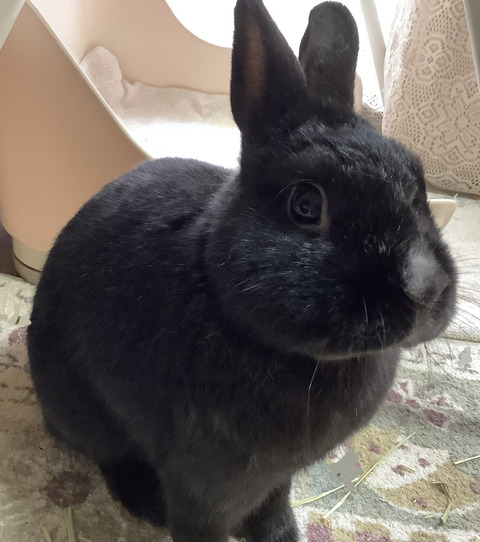 4D45C086-F79D-459E-9750-E6BD1AD64B88